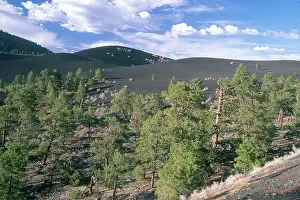 Volcanology: Sunset Crater National Monument