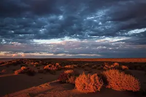Eyre: Sunset on desert around Lake Eyre