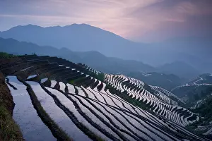 Backbone: sunset at Dragon's Backbone Rice Terraces