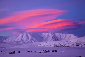 Paddock: Sunset over Hawkdun Range and snowy farmland