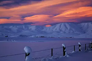 Altocumulus: Sunset over Hawkdun Range and snowy farmland