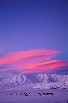 Paddock: Sunset over Hawkdun Range and snowy farmland
