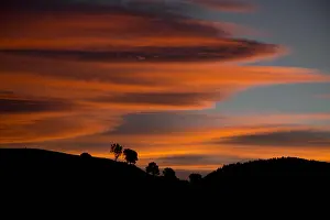 Teal: Sunset - over the hills of Teal Valley - Hira -