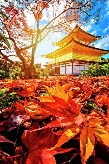 110917: Sunset in the Kinkakuji temple, Kyoto, Japan