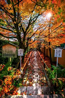 110917: Sunset in the Koetsuji temple, Kyoto, Japan