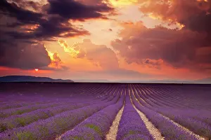 Aroma: Sunset over Lavender field near Valensole