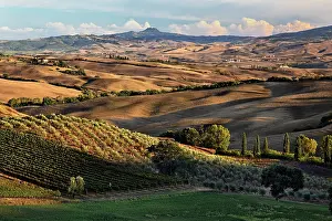 Quirico: Sunset light on rolling agricultural hills