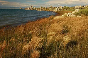 Mono: Sunset light on tufa formation, Mono Lake, Tufa