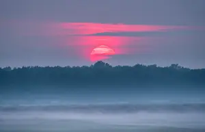 Geoff Du Feu: Sunset over misty Norfolk grazing marsh