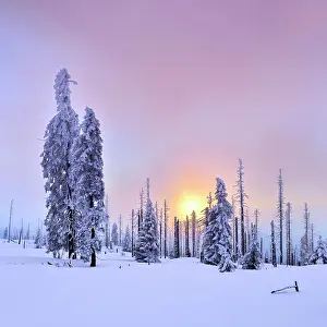 Groer: Sunset on the mountain Gro&, x7e5;r Rachel in winter