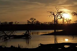 Sabi: Sunset - Sabi Sands Game reserve