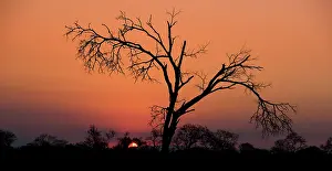 Sabi: Sunset over Sabi Sands nature Reserve
