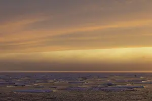 Floes: Sunset over seascape
