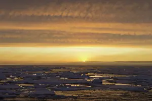 Floes: Sunset over seascape