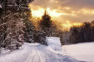 Anhalt: Sunset in the Selketal Harz Winter Forest