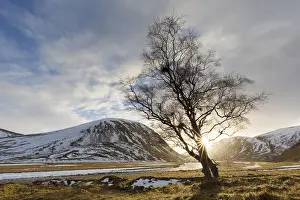 100119: Sunset at Strathdearn valley in the Highlands -