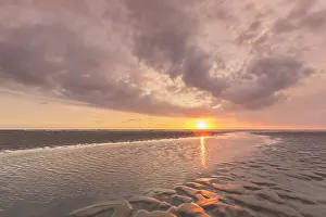 Wadden: Sunset over a tidal creek in the mudflats - Wadden