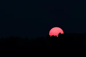 Wallpaper: Sunset with tree silhouette Allariz, Galicia, Spain