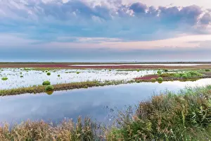 Arles: Sunset over a wetland in the Camargue