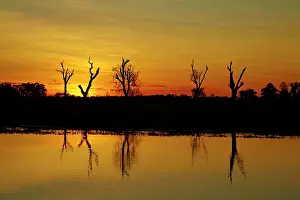 Billabong: Sunset, Yellow Water Billabong, Kakadu National
