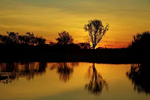 Billabong: Sunset, Yellow Water Billabong, Kakadu National