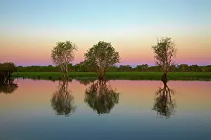 Billabong: Sunset, Yellow Water Billabong, Kakadu National