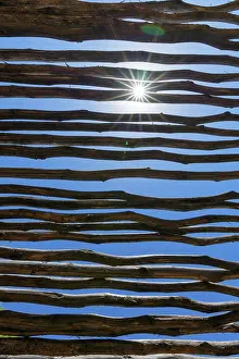 Narok: Sunshield roof from branches with sun, Masai Mara