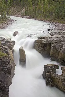 Athabasca: Sunwapta Falls upper falls