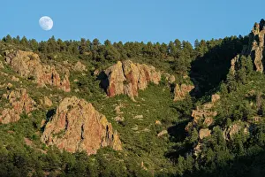 New Mexico: Super moon over Water Canyon, Cibola National Forest, New