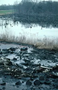 Super: Superfund Site in Louisiana
