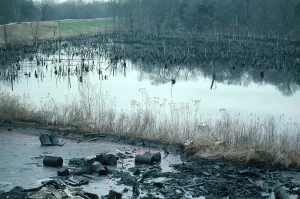 Super: Superfund Site in Louisiana