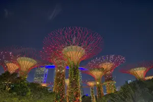 Super: Supertrees Lit after Dark Marina Bay Gardens Singapore