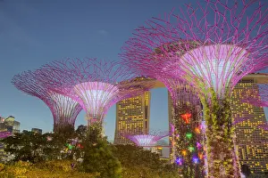 Super: Supertrees Lit at Night Marina Bay Gardens Singapore