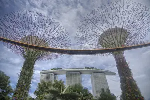 Super: Supertrees Marina Bay Gardens Singapore TV000442