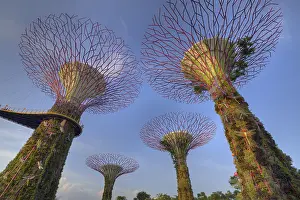 Super: Supertrees Marina Bay Gardens Singapore TV000514