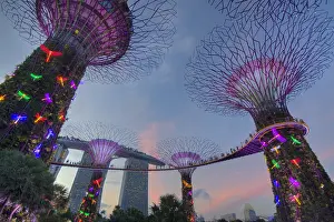 Super: Supertrees Marina Bay Gardens Singapore TV000534
