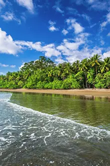 Surf: Surf and coconut palms at Playa Matapalo, Puntarenas