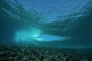 Tuamotu: Surf on the reef at the entrance to Tiputa pass