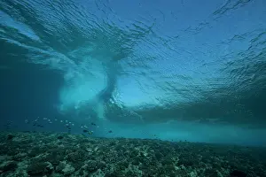 Tuamotu: Surf on the reef at the entrance to Tiputa pass