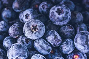 Berry: Surface is covered with a thick layer of blueberries