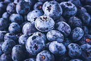 Berry: Surface is covered with a thick layer of blueberries