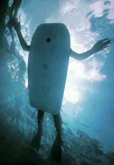 Surfer: Surfer - Looking like underside of Turtle, vunerable