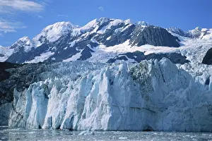 Terminal: Surprise Glacier