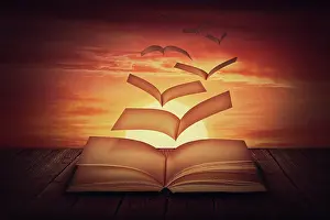 Book: Surreal scene with book pages transforms into magical