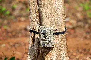 Tadoba: Surveillance Camera camera trap attached to a tree
