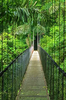 Bridge: Suspension bridge at Mistico Hanging Bridges, Alajuela