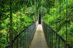 Bridge: Suspension bridge at Mistico Hanging Bridges, Alajuela