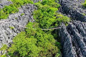 Suspension: Suspension bridge over rugged karst landscape, Tsingy