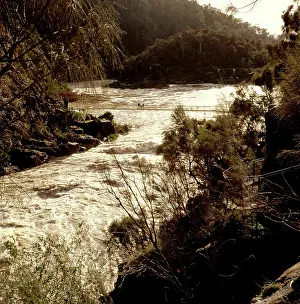 Cataract: The Suspension Bridge.at Cataract Gorge, moderate