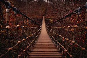 Bridge: Suspension rope bridge in an autumnal forest with red foliage